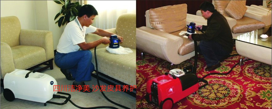 沙發(fā)，皮具養(yǎng)護(hù)